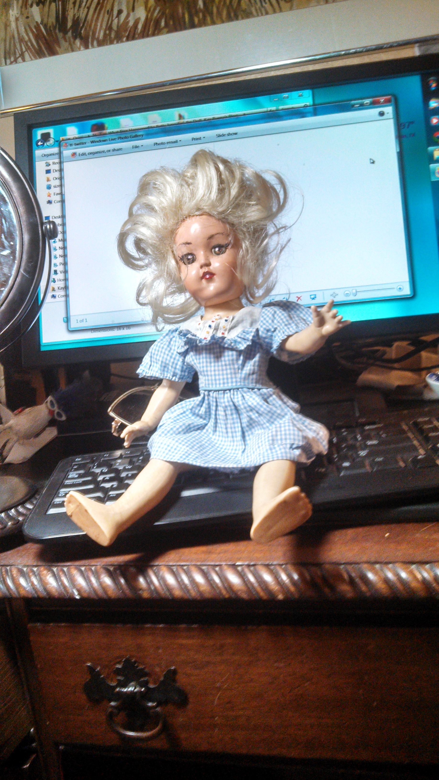 BettyJane takeing a seat on Dell"s Keyboard,for a comfortable talk.